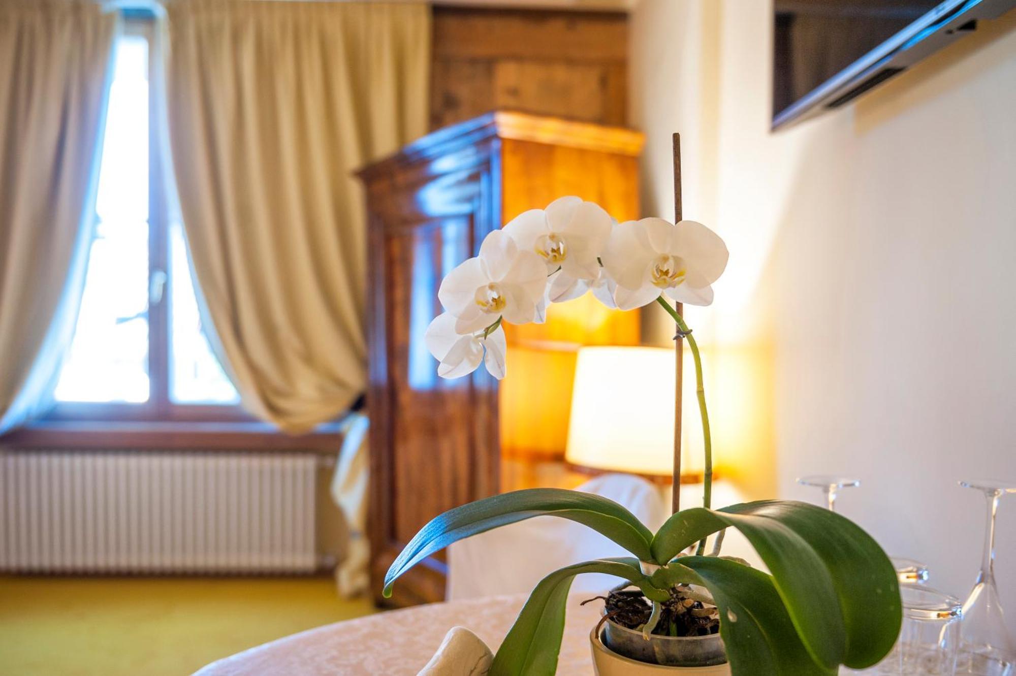 Villa Orso Grigio Ronzone Εξωτερικό φωτογραφία